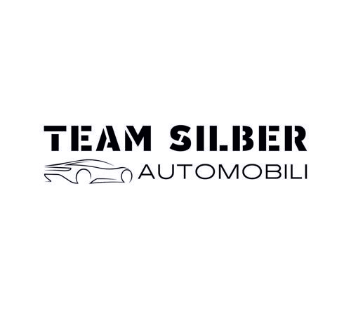 TEAM_SILBER